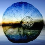 Sand Dollar Sunset, Digital Montage Photograph, 16" x 20" x 1", 2016